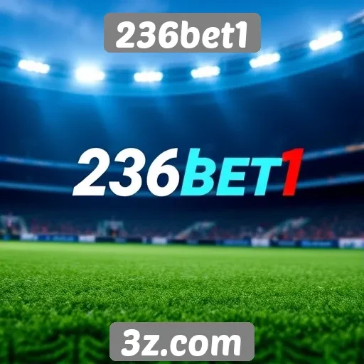 Importância da regulamentação em sites como 236bet1