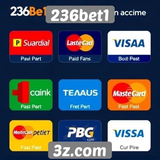 Métodos de pagamento aceitos na 236bet1